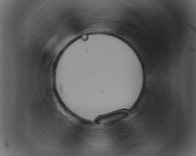 X0000103261038200809261134