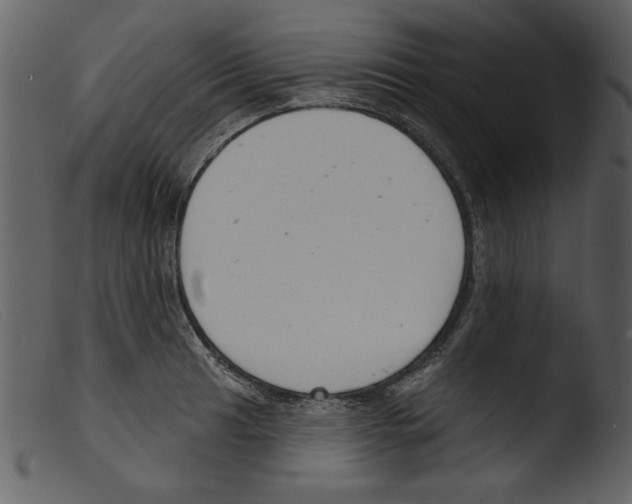 X0000103261041200809261134