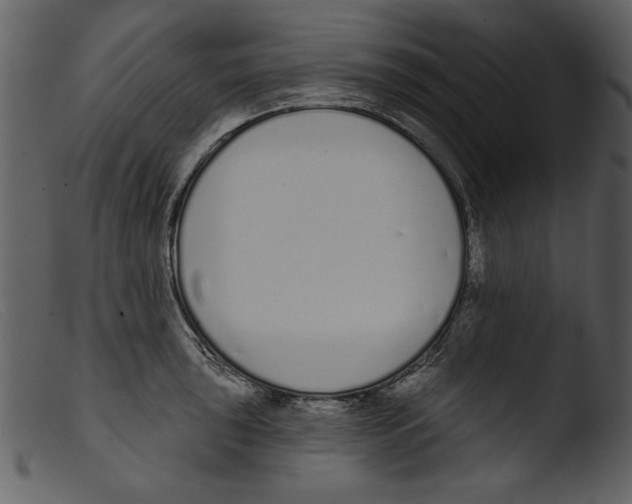 X0000103261043200809261134