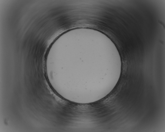 X0000103261046200809261134