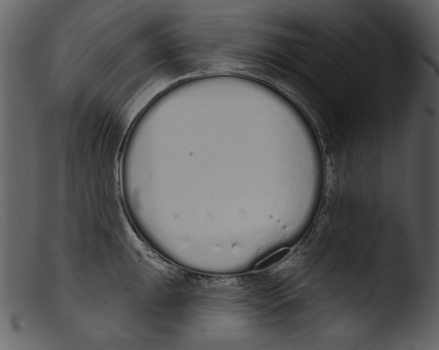 X0000103261047200809261134