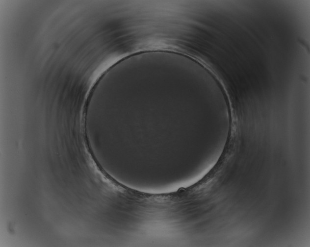 X0000103261053200809261134