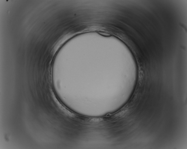 X0000103261055200809261134