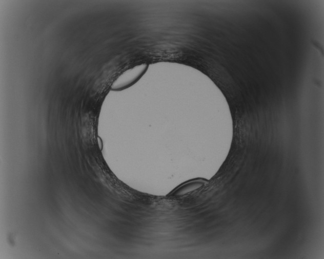 X0000103261058200809261133