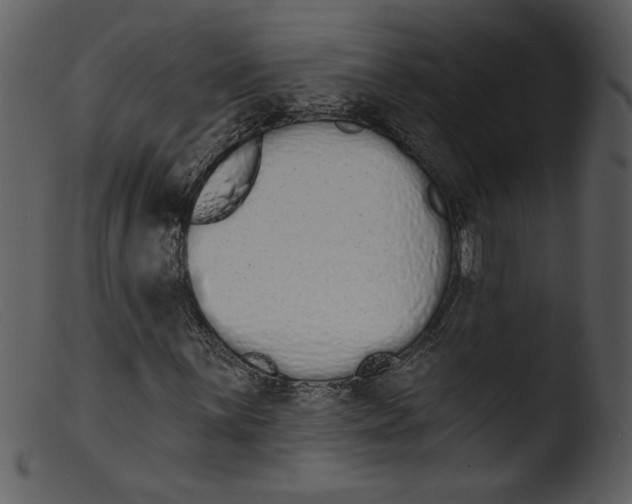 X0000103261059200809261133