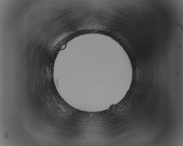 X0000103261064200809261133