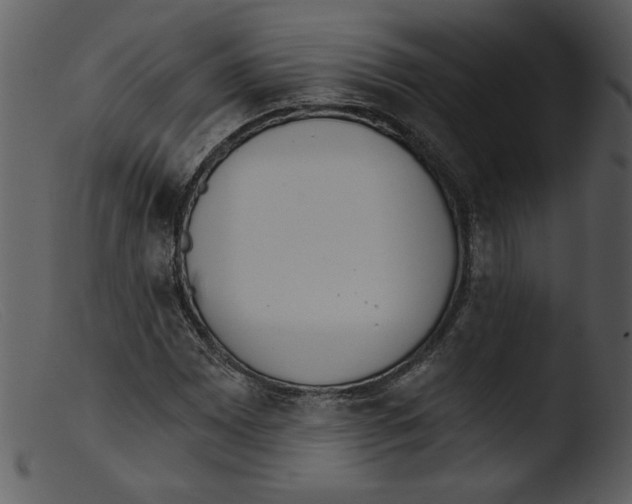 X0000103261065200809261133