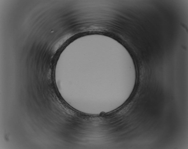 X0000103261066200809261133