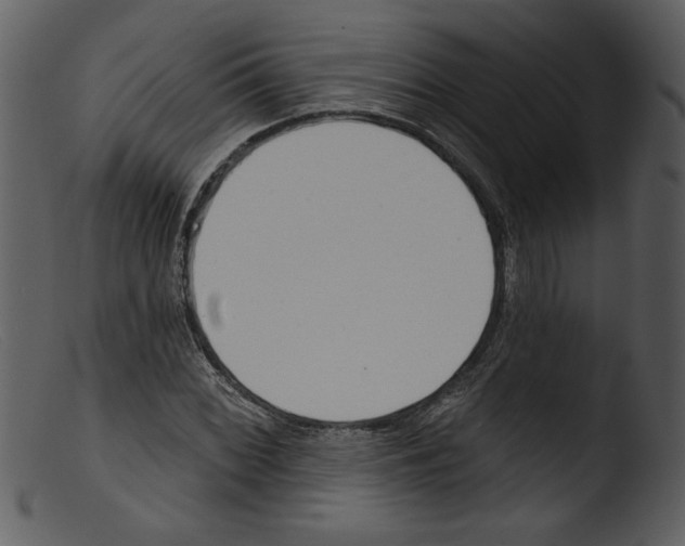 X0000103261068200809261133