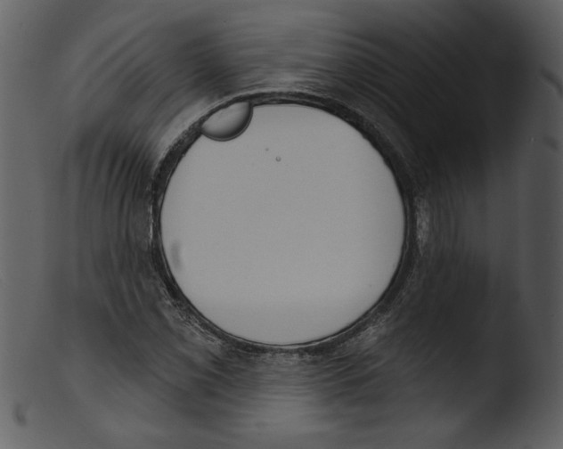 X0000103261069200809261133