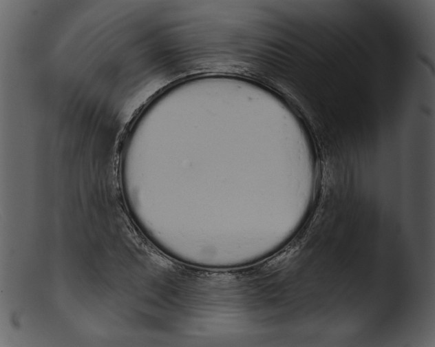 X0000103261071200809261133