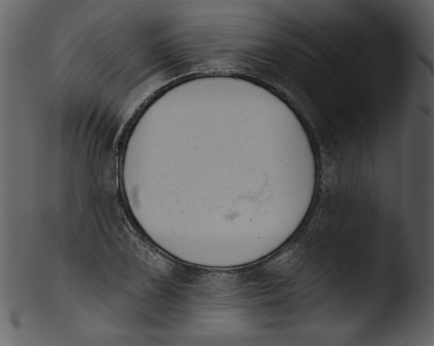 X0000103261075200809261133