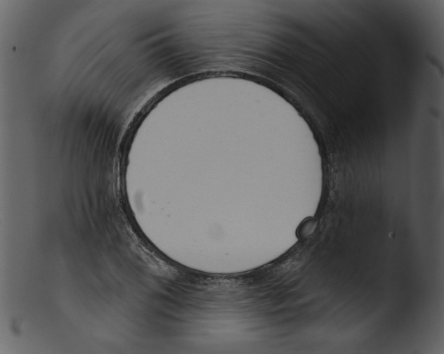 X0000103261076200809261133