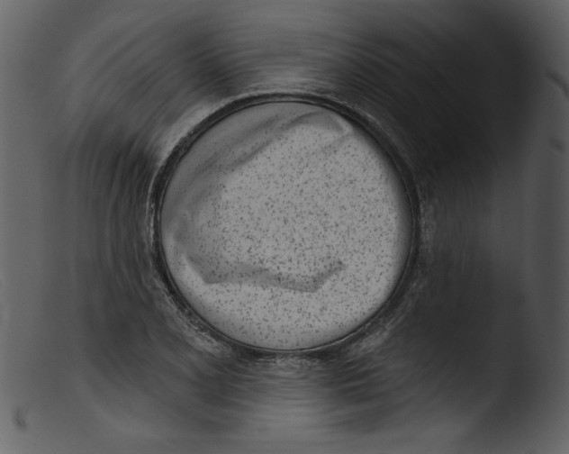 X0000103261077200809261133