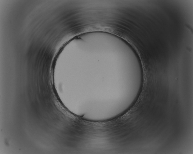 X0000103261080200809261133