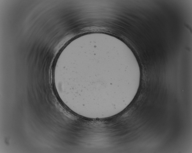 X0000103261082200809261133