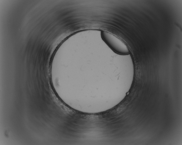 X0000103261088200809261133