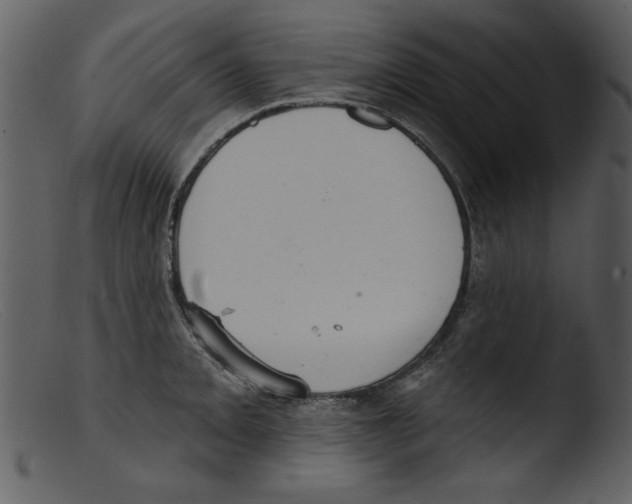 X0000103261093200809261133