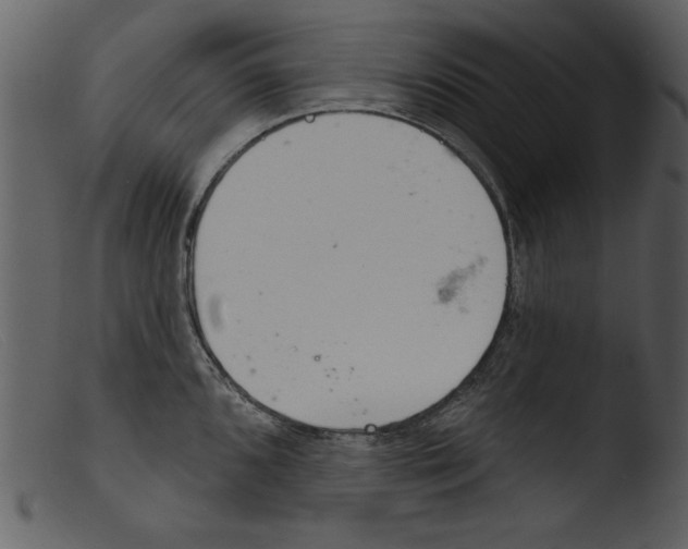 X0000103261096200809261132