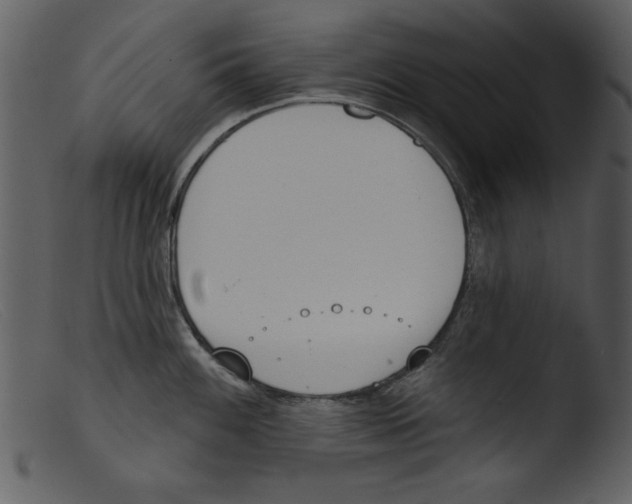 X0000103261100200809261132