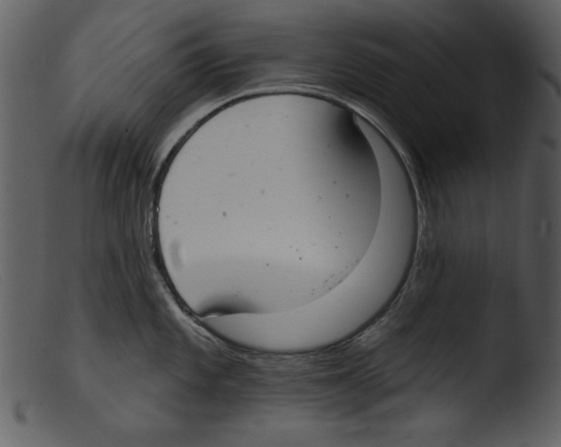 X0000103261101200809261132