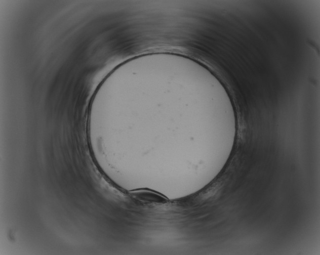 X0000103261102200809261132