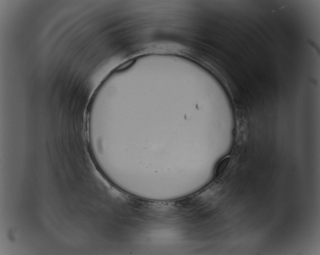 X0000103261103200809261132