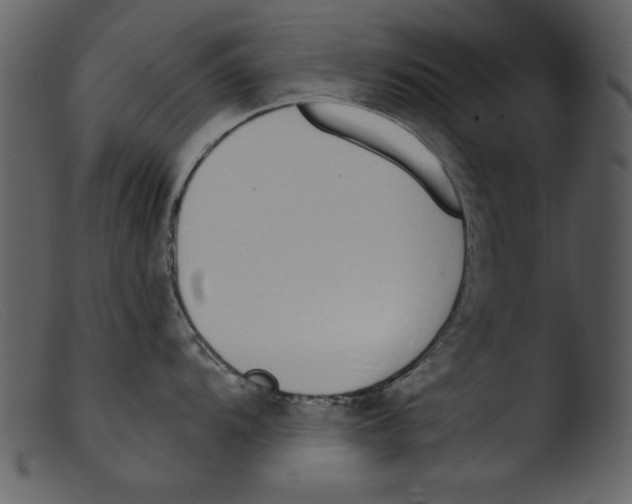 X0000103261104200809261132