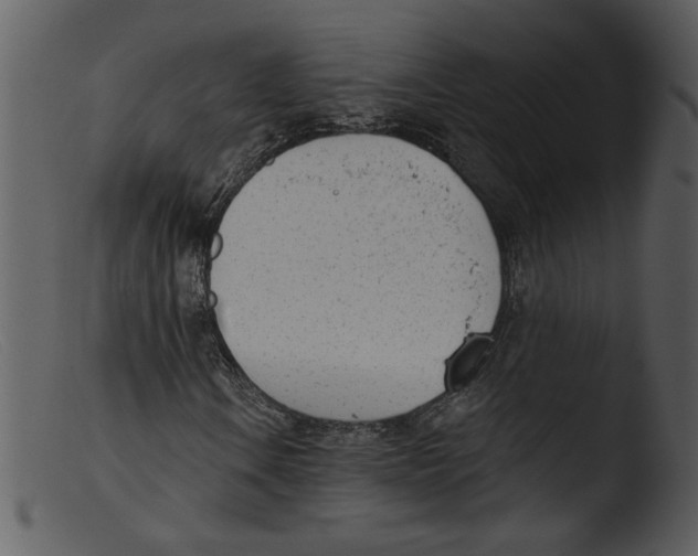 X0000103261106200809261132