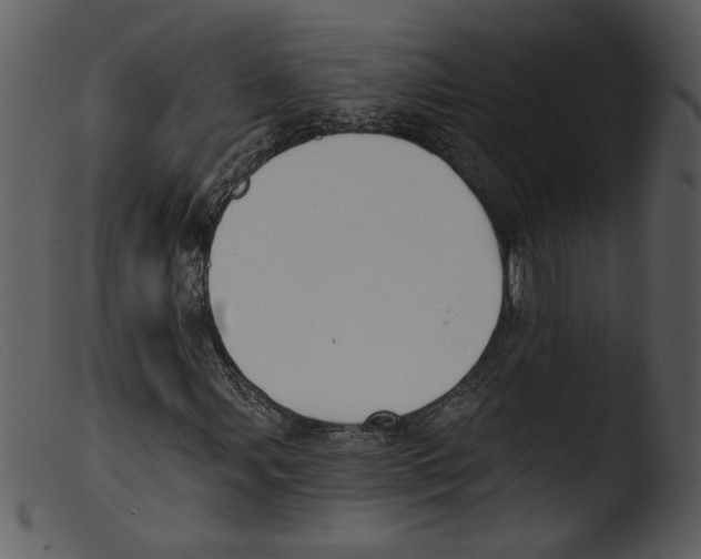 X0000103261107200809261132