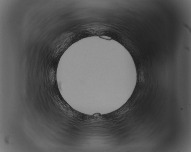 X0000103261108200809261132