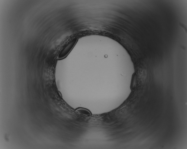 X0000103261110200809261132