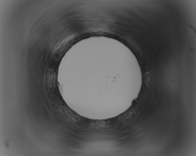 X0000103261111200809261132