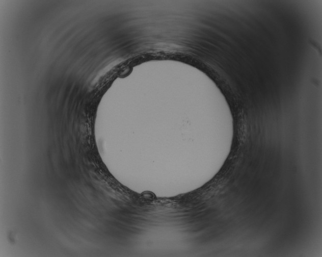 X0000103261112200809261132