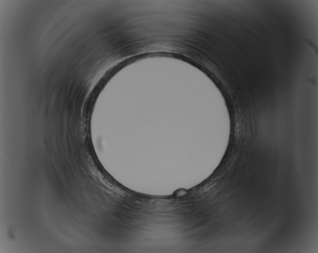 X0000103261116200809261132