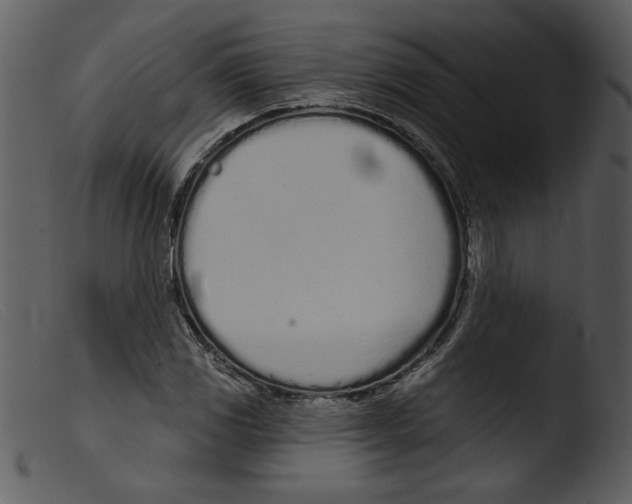 X0000103261117200809261132