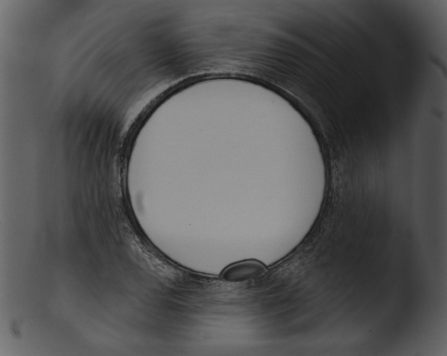 X0000103261120200809261132