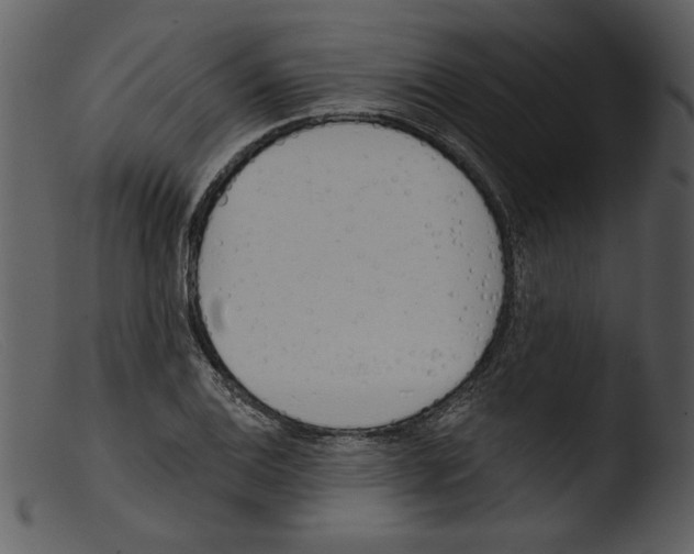 X0000103261124200809261132