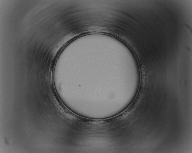 X0000103261125200809261132