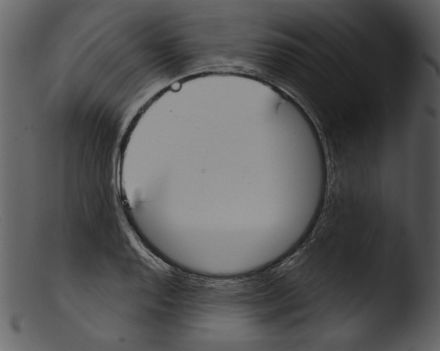 X0000103261128200809261132