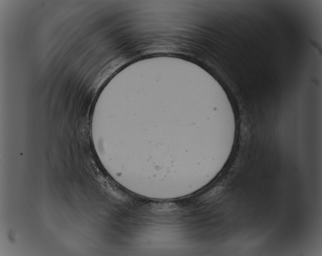 X0000103261129200809261132