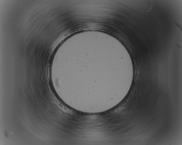 X0000103261130200809261132