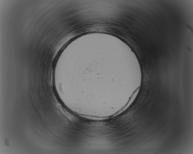 X0000103261131200809261132