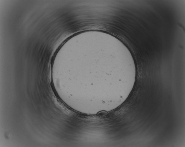 X0000103261132200809261132