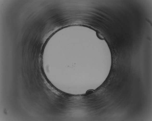 X0000103261134200809261132