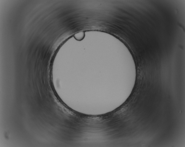 X0000103261135200809261132