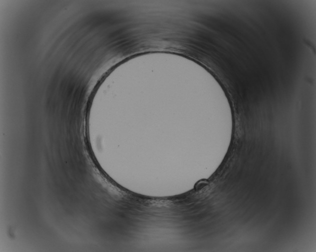 X0000103261136200809261132