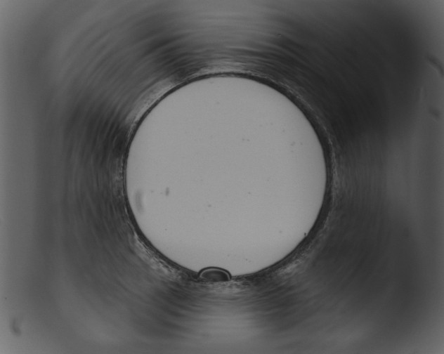 X0000103261137200809261132