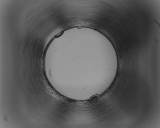 X0000103261138200809261132