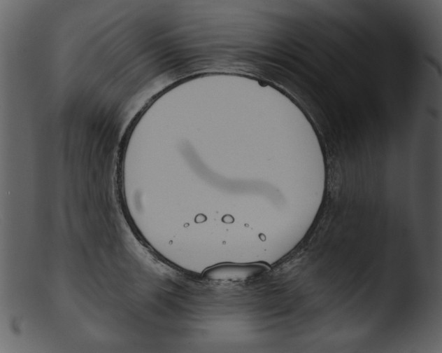 X0000103261139200809261132